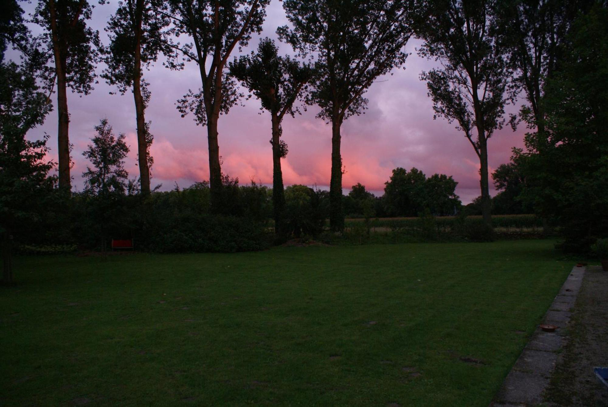 B&B De Metstermolen Sint-Truiden Exteriör bild