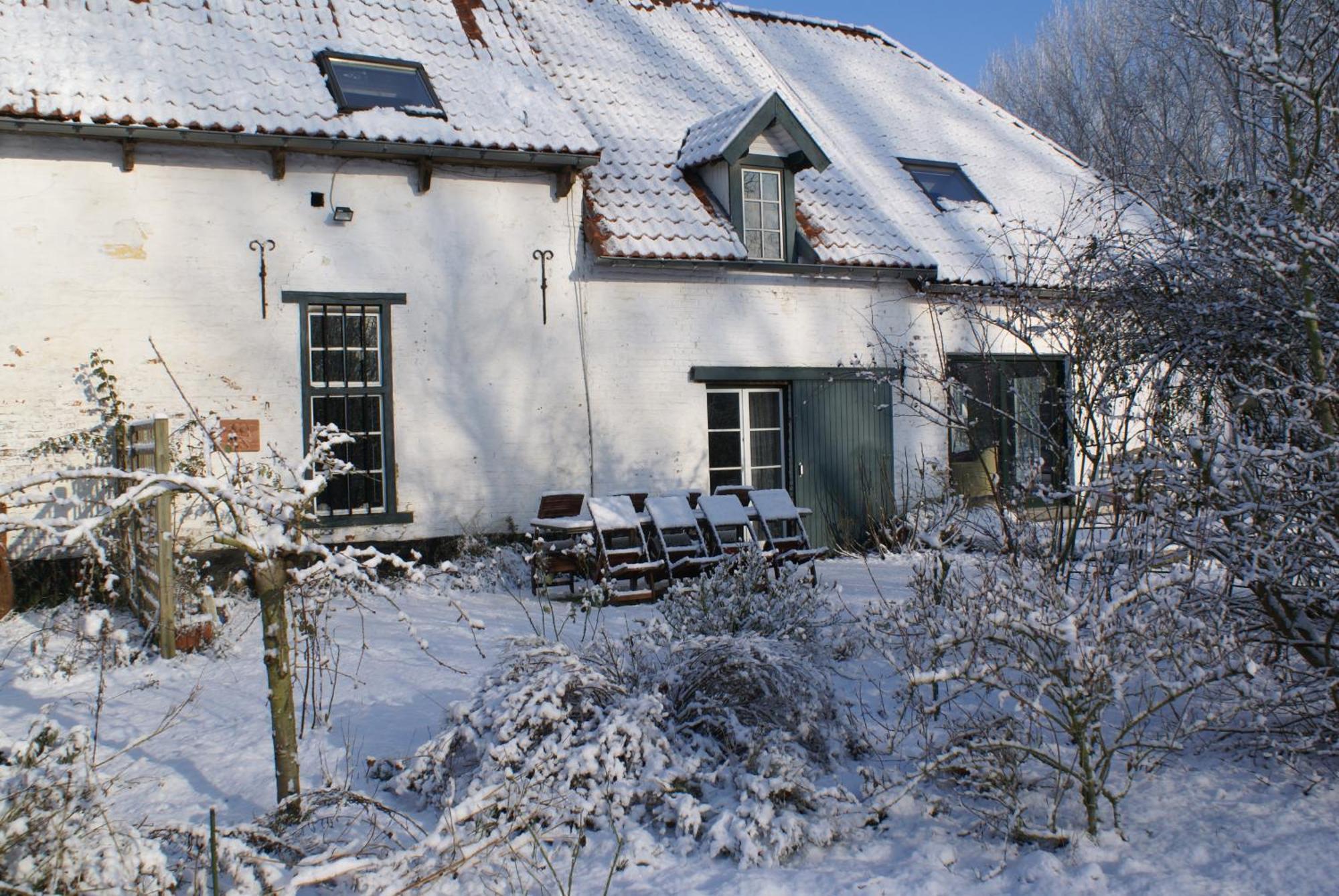 B&B De Metstermolen Sint-Truiden Exteriör bild