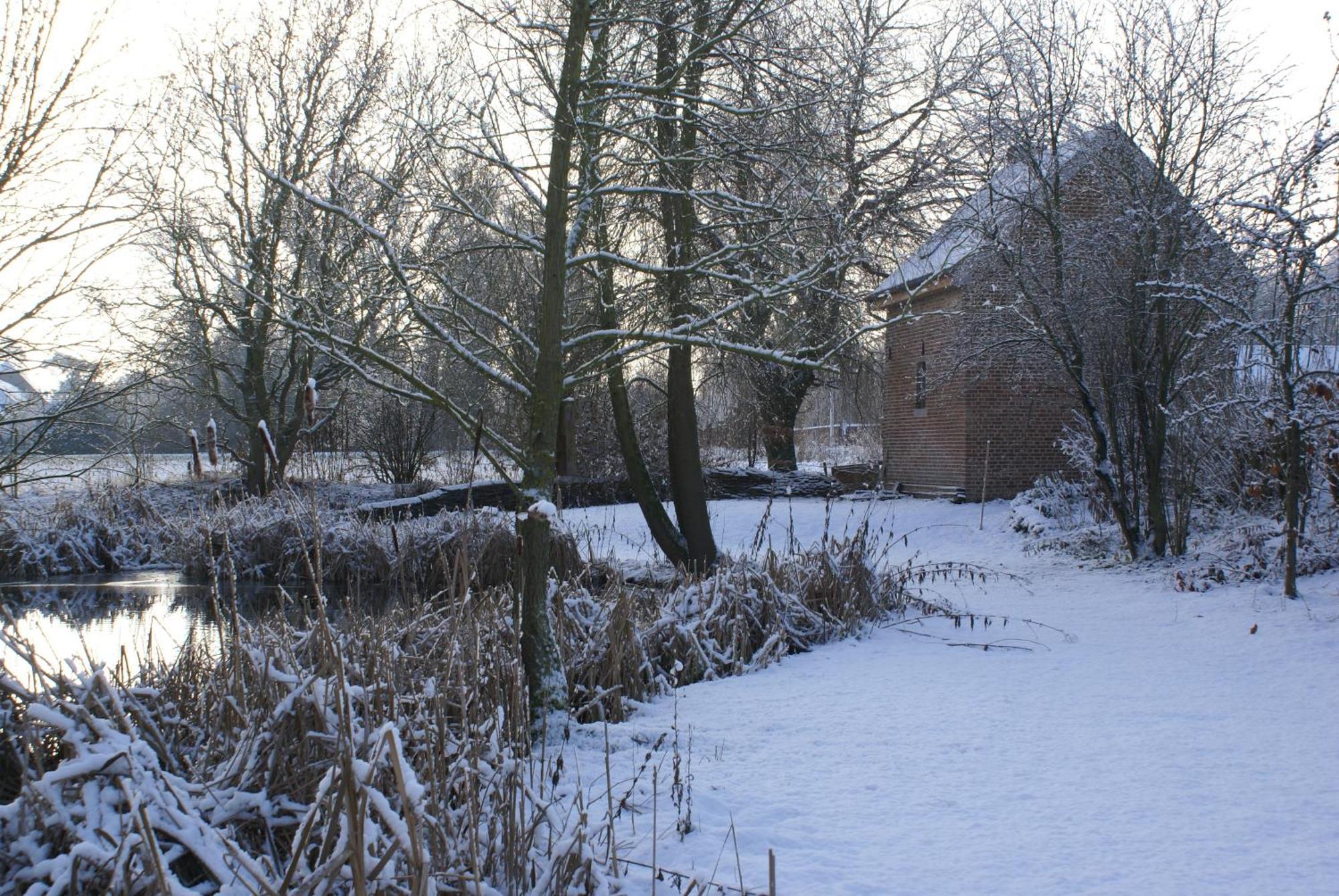 B&B De Metstermolen Sint-Truiden Exteriör bild